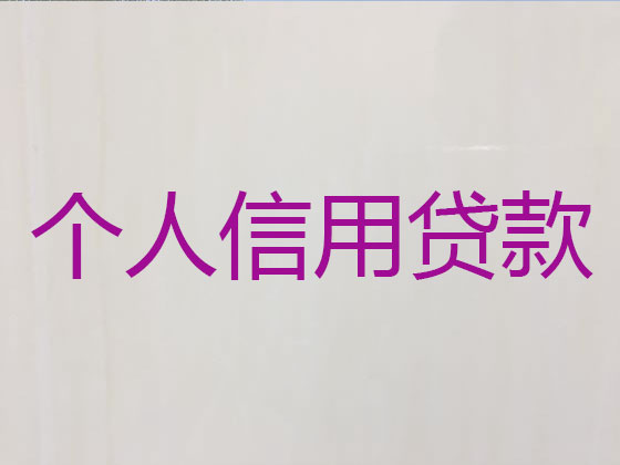 楚雄正规贷款公司-抵押担保贷款